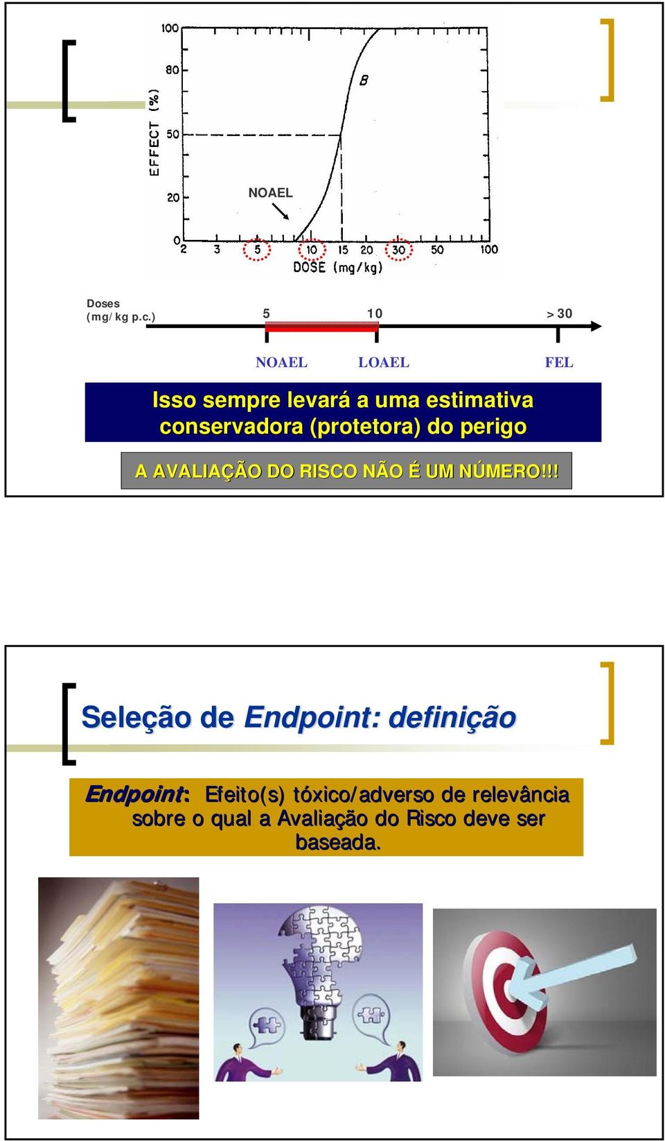 conservadora (protetora) do perigo A AVALIAÇÃO DO RISCO NÃO É UM NÚMERO!