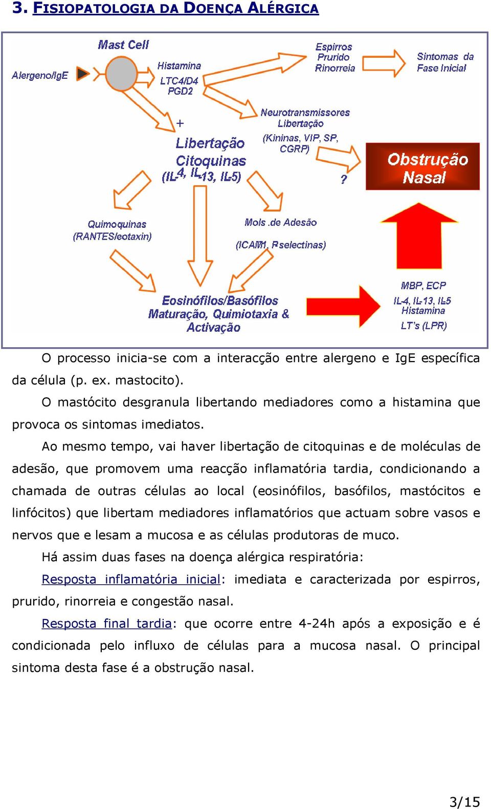 Ao mesmo tempo, vai haver libertação de citoquinas e de moléculas de adesão, que promovem uma reacção inflamatória tardia, condicionando a chamada de outras células ao local (eosinófilos, basófilos,