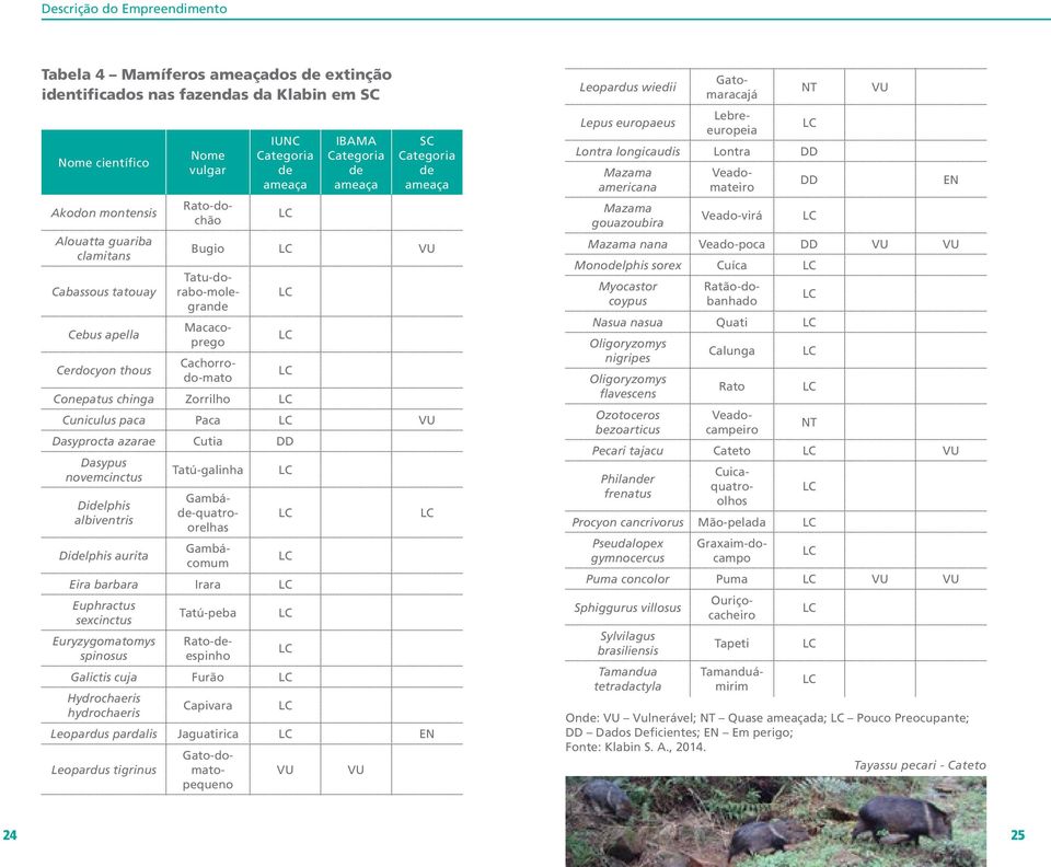 Mazama nana Veado-poca DD VU VU Monodelphis sorex Cuíca LC Myocastor coypus Onde: VU Vulnerável; NT Quase ameaçada; LC Pouco Preocupante; DD Dados Deficientes; EN Em perigo; Fonte: Klabin S. A., 2014.