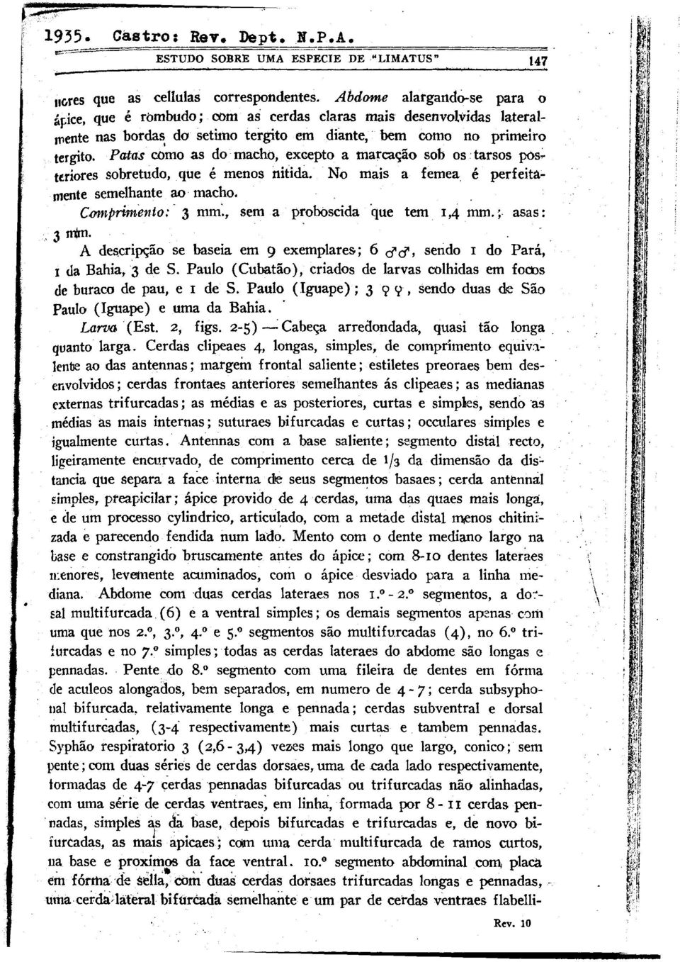 perf eita- mente semelhante a~ macho cmnpri~zen to: _ 3 mm:, sem a proboscida hue tern 1,4 mm ; asas : / 3 n@* A descrip@o se baseia em 9 exemplares ; 6 88, sendo I do Par&, 1 da Bahia, 3 de S Paul0