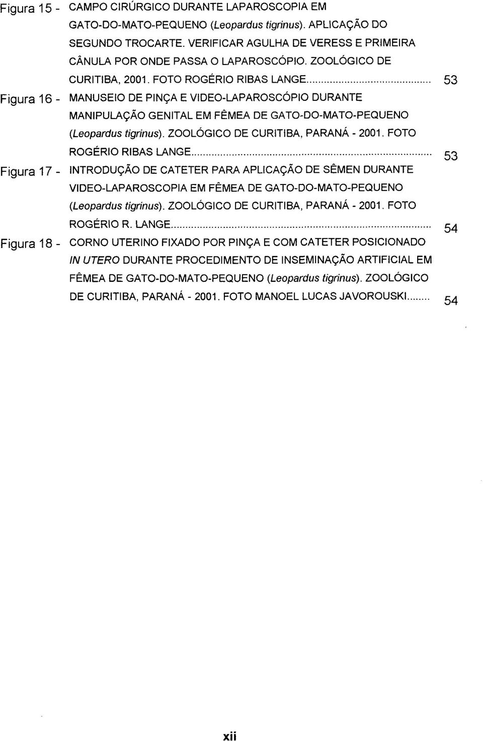 FOTO ROGÉRIO RIBAS LANGE 53 MANUSEIO DE PINÇA E VIDEO-LAPAROSCÓPIO DURANTE MANIPULAÇÃO GENITAL EM FÊMEA DE GATO-DO-MATO-PEQUENO (,Leopardus tigrinus). ZOOLÓGICO DE CURITIBA, PARANÁ - 2001.