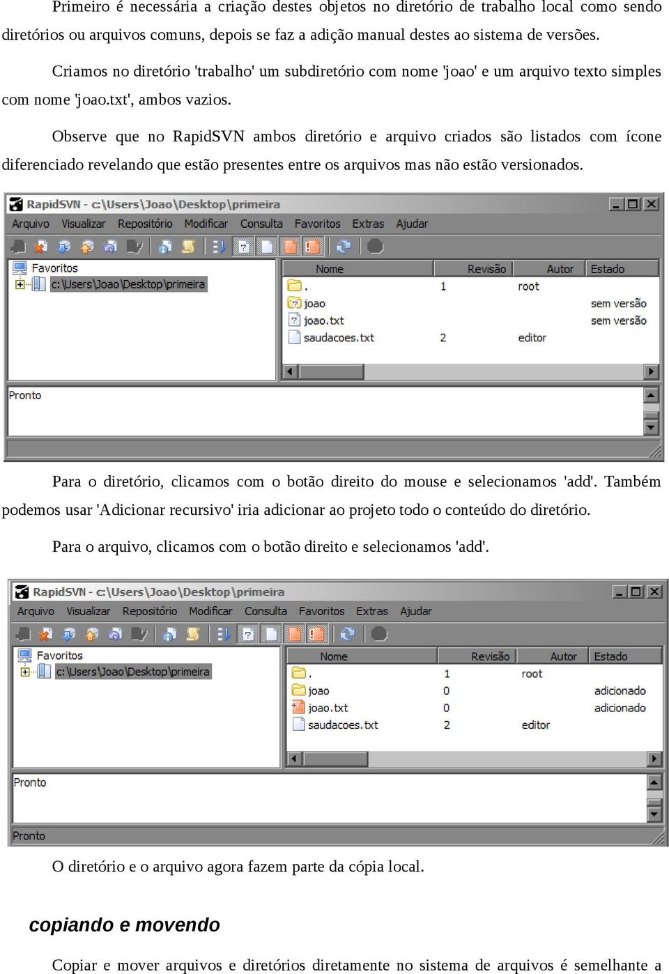 Observe que no RapidSVN ambos diretório e arquivo criados são listados com ícone diferenciado revelando que estão presentes entre os arquivos mas não estão versionados.