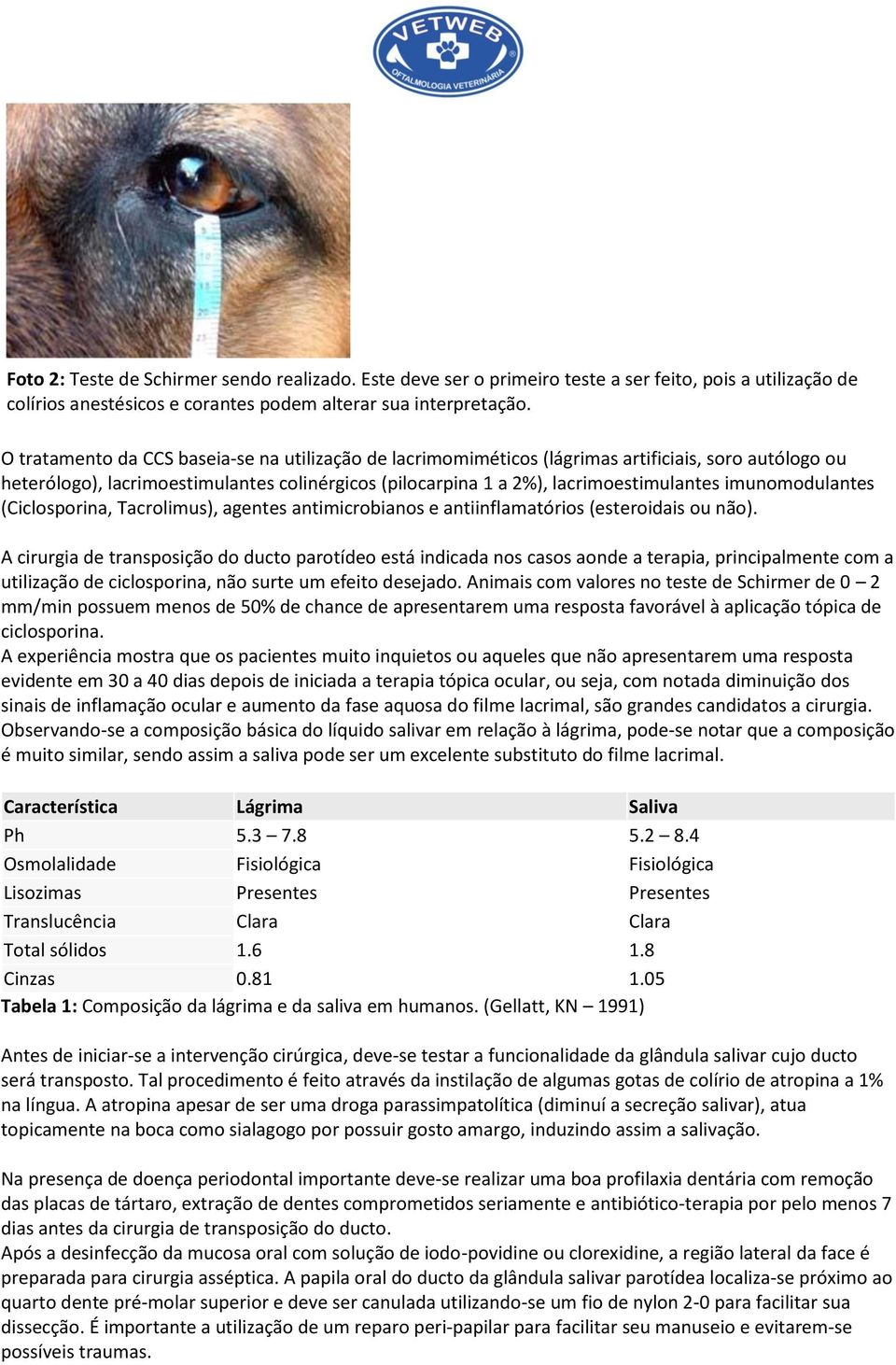 imunomodulantes (Ciclosporina, Tacrolimus), agentes antimicrobianos e antiinflamatórios (esteroidais ou não).