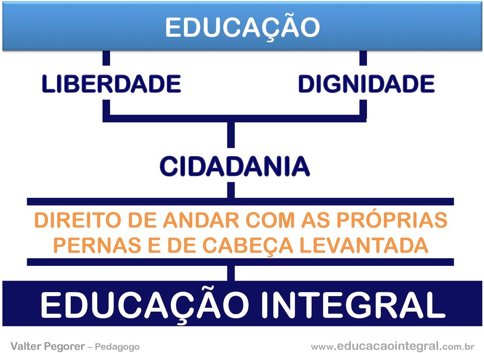 DE CABEÇA LEVANTADA EDUCAÇÃO INTEGRAL