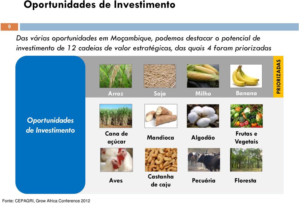 Arroz Soja Milho Banana PRIORIZADAS Oportunidades de Investimento Cana de açúcar Mandioca