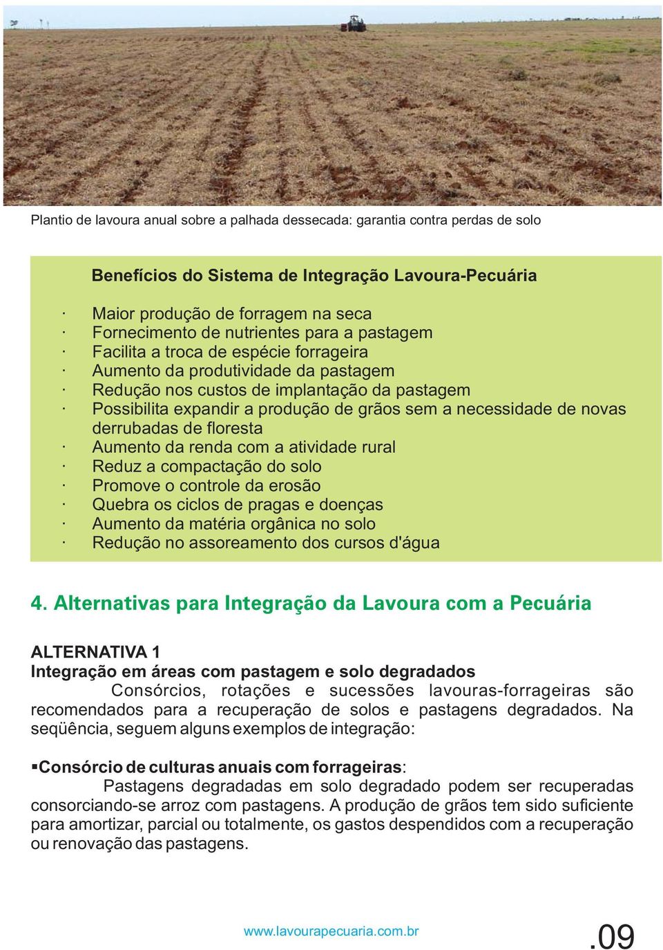 novas derrubadas de floresta Aumento da renda com a atividade rural Reduz a compactação do solo Promove o controle da erosão Quebra os ciclos de pragas e doenças Aumento da matéria orgânica no solo