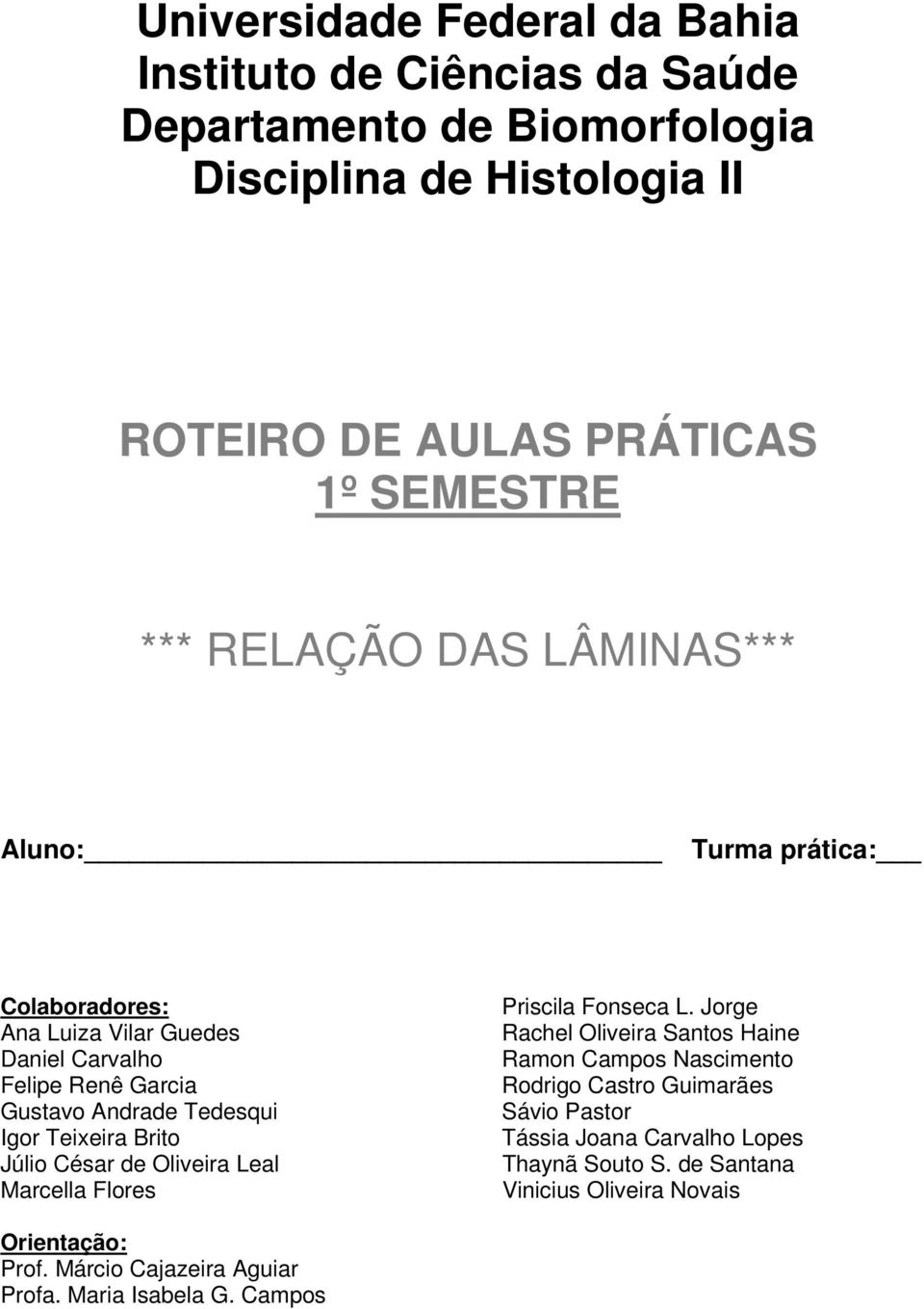 Teixeira Brito Júlio César de Oliveira Leal Marcella Flores Priscila Fonseca L.