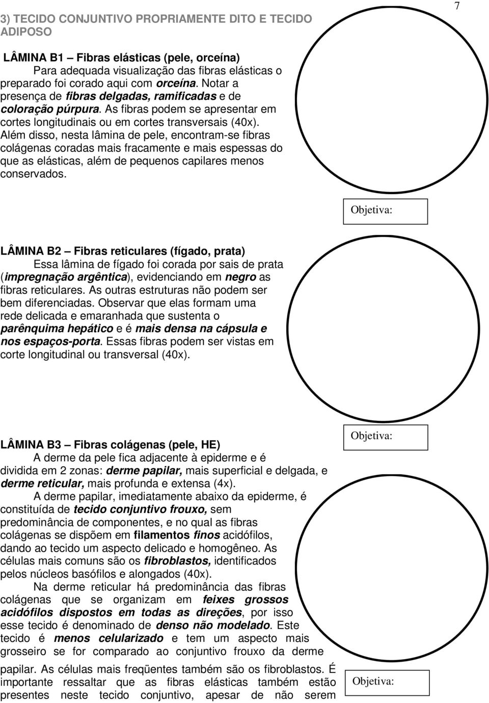 Além disso, nesta lâmina de pele, encontram-se fibras colágenas coradas mais fracamente e mais espessas do que as elásticas, além de pequenos capilares menos conservados.