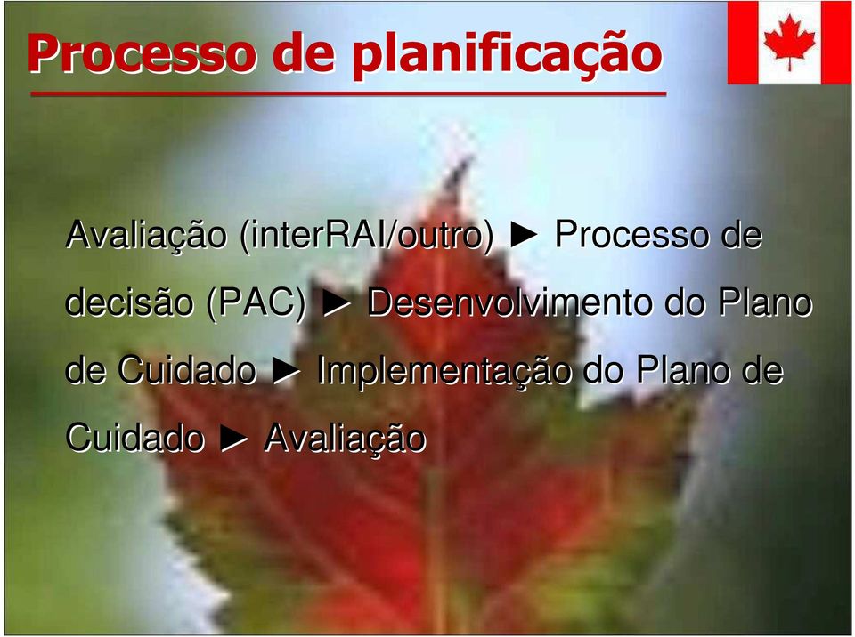 (PAC) Desenvolvimento do Plano de