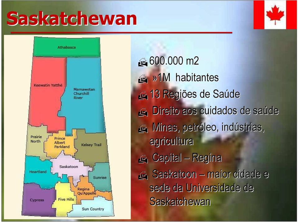 aos cuidados de saúde Minas, petróleo, indústrias,