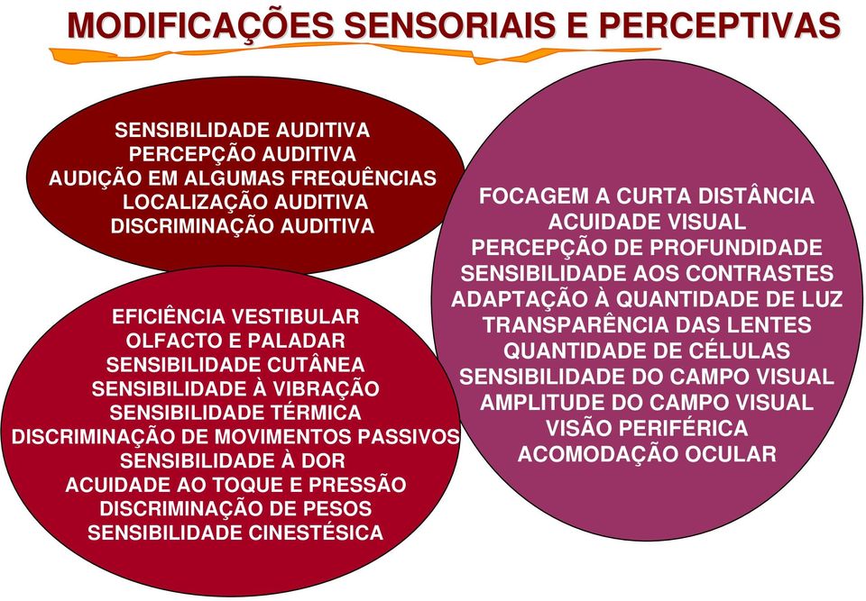 AO TOQUE E PRESSÃO DISCRIMINAÇÃO DE PESOS SENSIBILIDADE CINESTÉSICA FOCAGEM A CURTA DISTÂNCIA ACUIDADE VISUAL PERCEPÇÃO DE PROFUNDIDADE SENSIBILIDADE AOS CONTRASTES