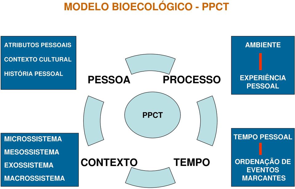 EXPERIÊNCIA PESSOAL PPCT MICROSSISTEMA TEMPO PESSOAL