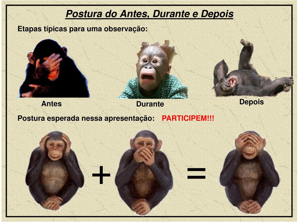 Antes Durante Depois Postura