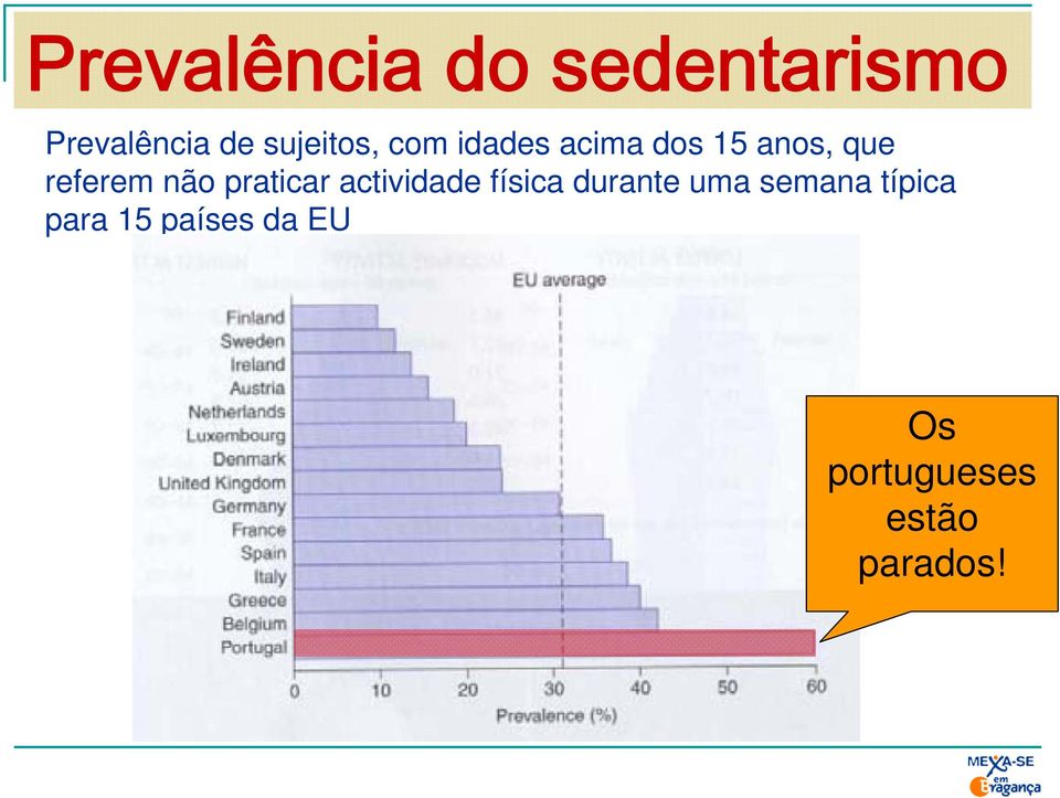 referem não praticar actividade física durante uma