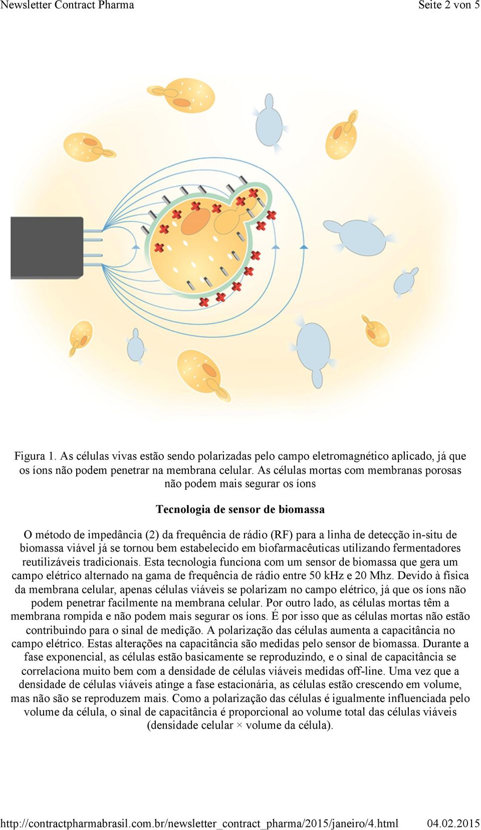 biomassa viável já se tornou bem estabelecido em biofarmacêuticas utilizando fermentadores reutilizáveis tradicionais.