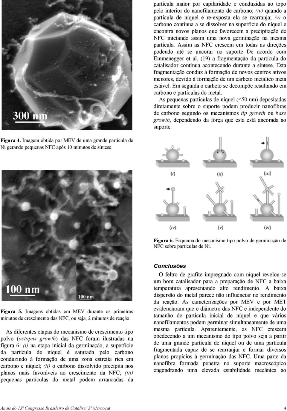 Assim as NFC crescem em todas as direções podendo até se ancorar no suporte De acordo com Emmenegger et al. (19) a fragmentação da partícula do catalisador contínua acontecendo durante a síntese.