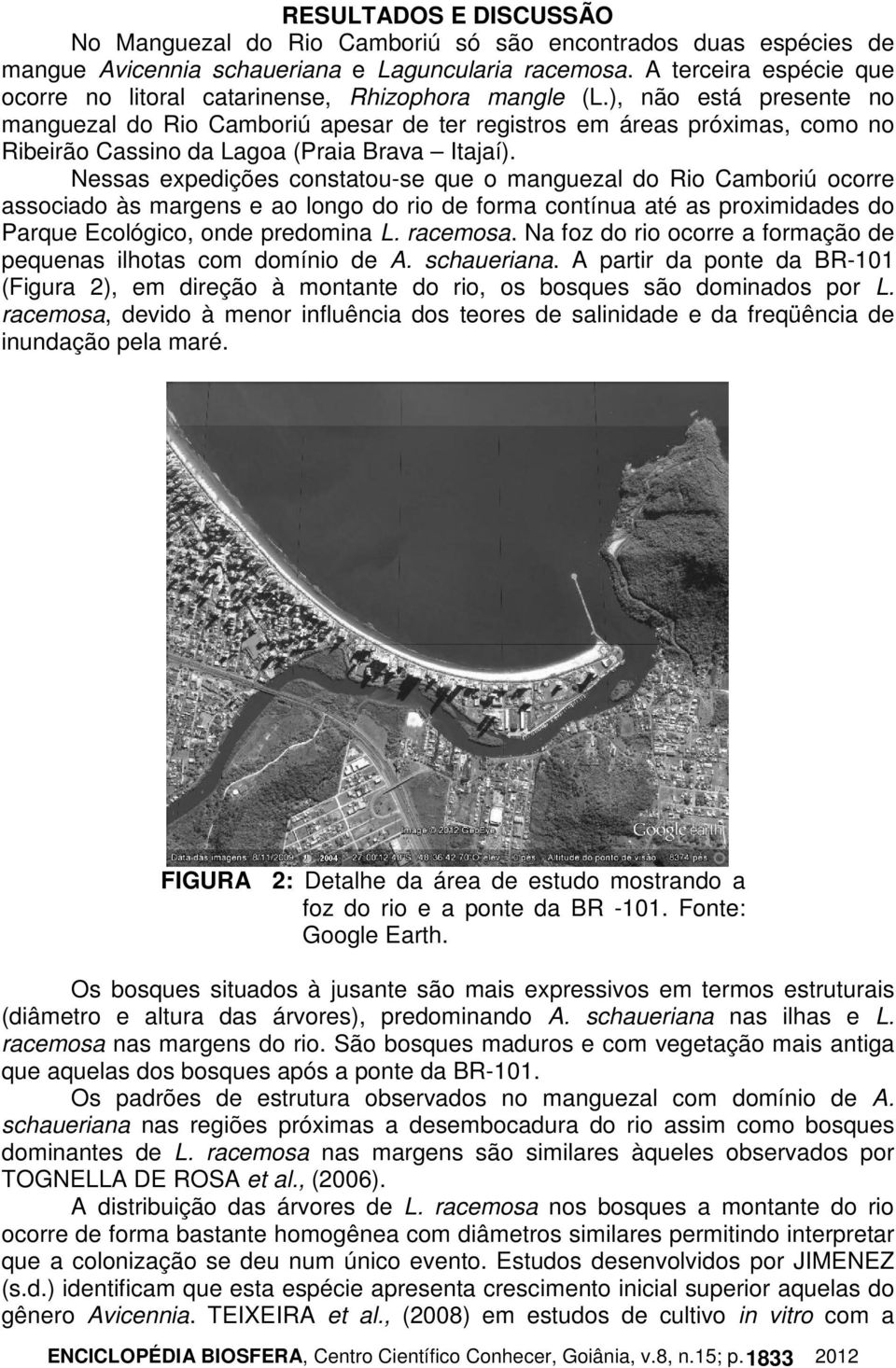 ), não está presente no manguezal do Rio Camboriú apesar de ter registros em áreas próximas, como no Ribeirão Cassino da Lagoa (Praia Brava Itajaí).