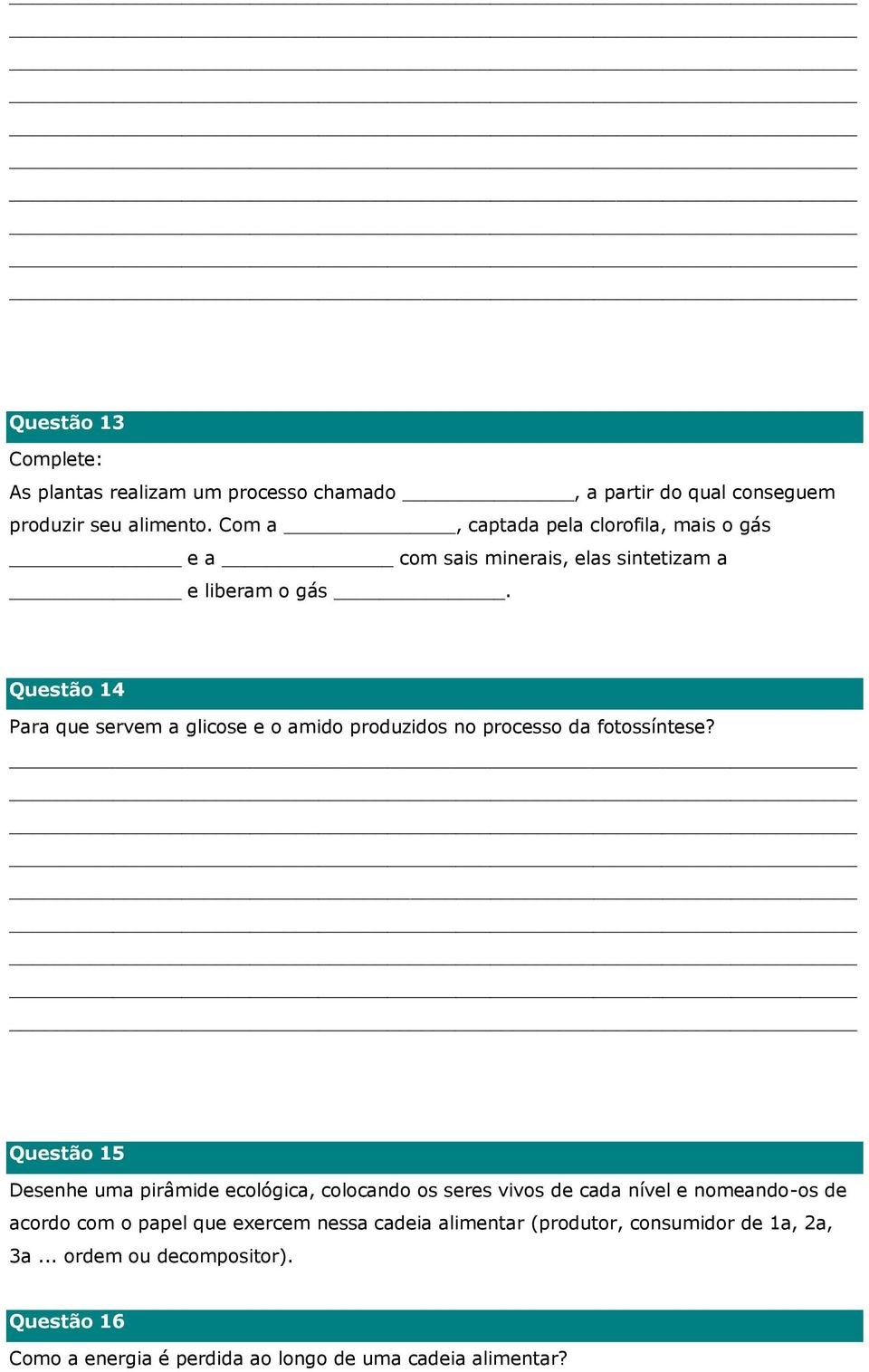 Questão 14 Para que servem a glicose e o amido produzidos no processo da fotossíntese?