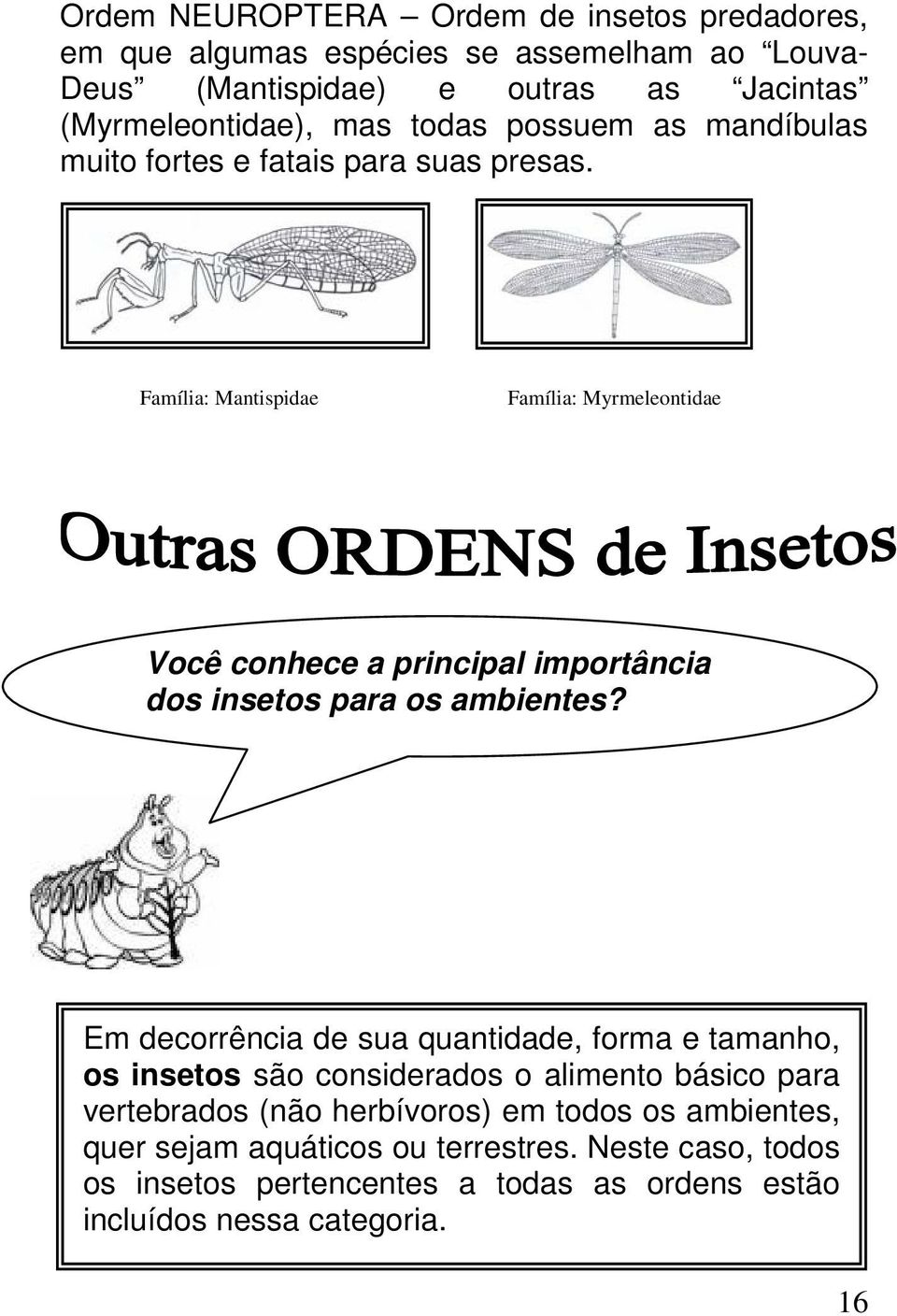 Família: Mantispidae Família: Myrmeleontidae Você conhece a principal importância dos insetos para os ambientes?