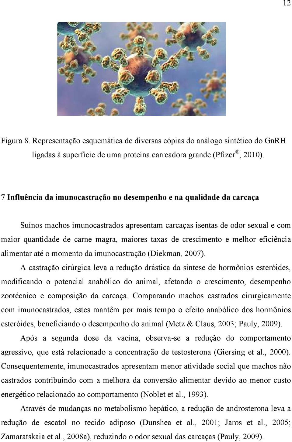 crescimento e melhor eficiência alimentar até o momento da imunocastração (Diekman, 2007).