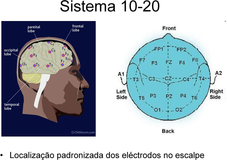 padronizada dos