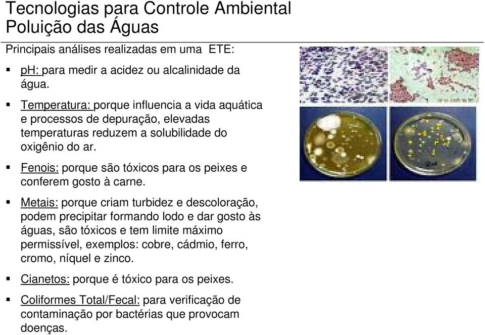 Fenois: porque são tóxicos para os peixes e conferem gosto à carne.