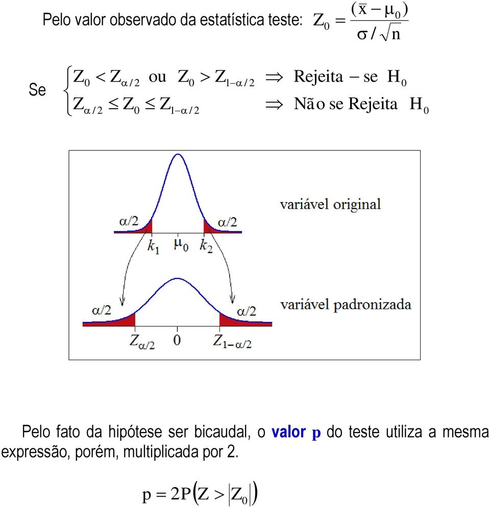 fato da hiótee er bicaudal, o valor do tete