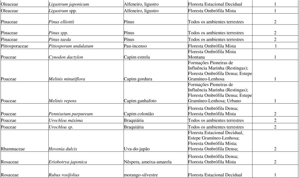 Pínus Todos os ambientes terrestres 2 Pinaceae Pinus taeda Pínus Todos os ambientes terrestres 2 Pittosporaceae Pittosporum undulatum Pau-incenso Floresta Ombrófila Mista 1 Poaceae Cynodon dactylon