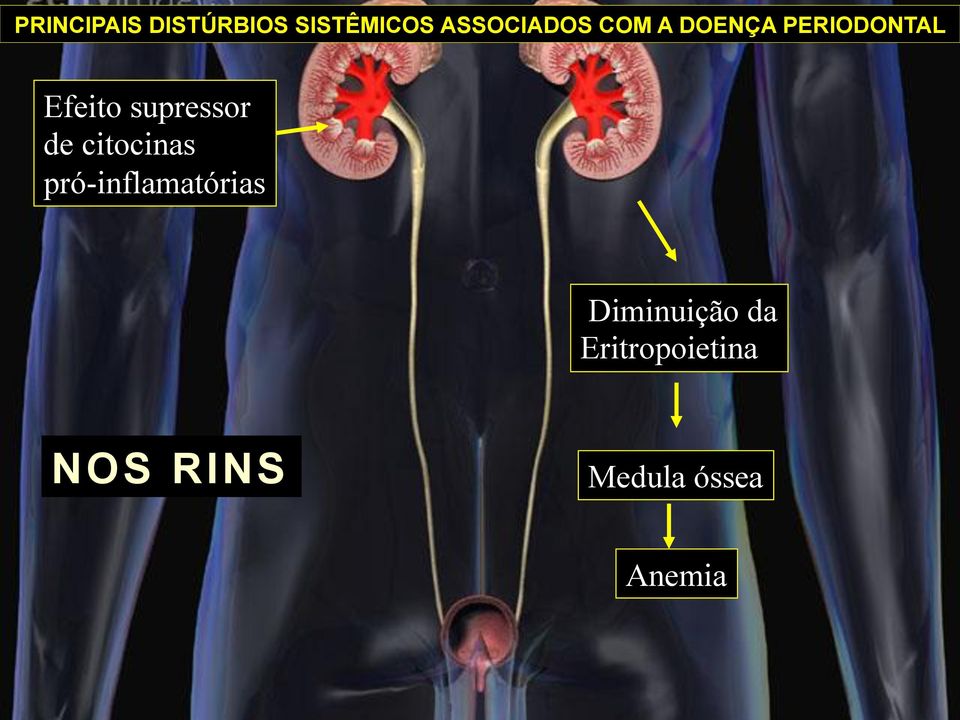 de citocinas pró-inflamatórias Diminuição