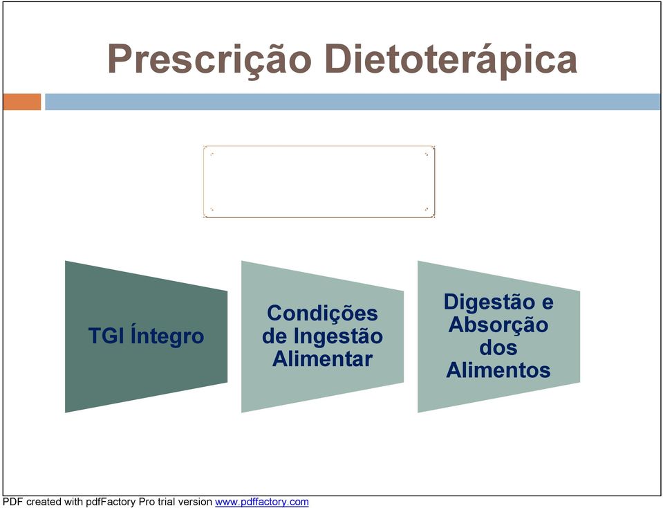 ! TGI Íntegro Condições de