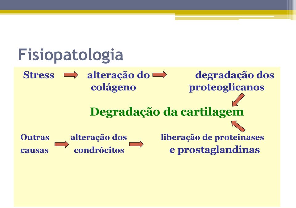 cartilagem Outras alteração dos liberação de