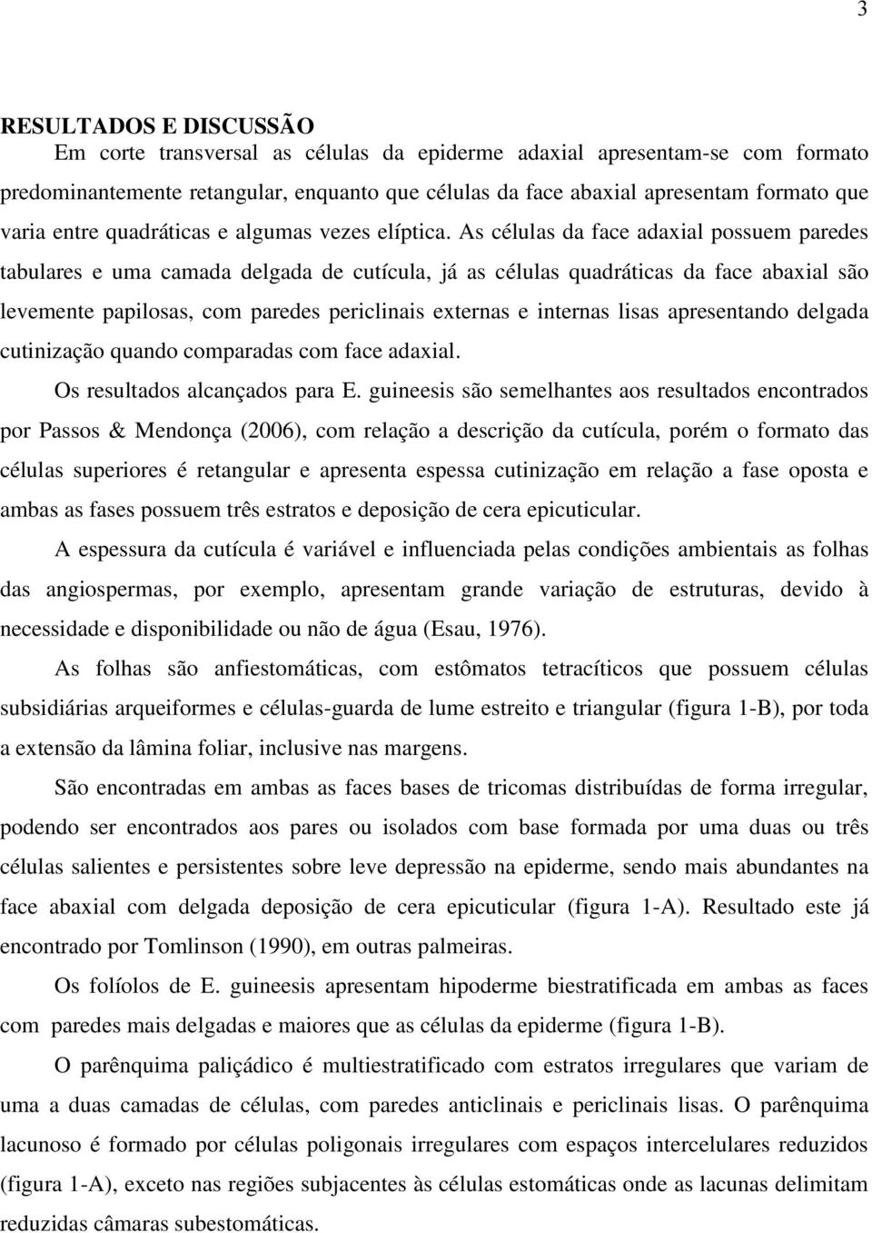 As células da face adaxial possuem paredes tabulares e uma camada delgada de cutícula, já as células quadráticas da face abaxial são levemente papilosas, com paredes periclinais externas e internas