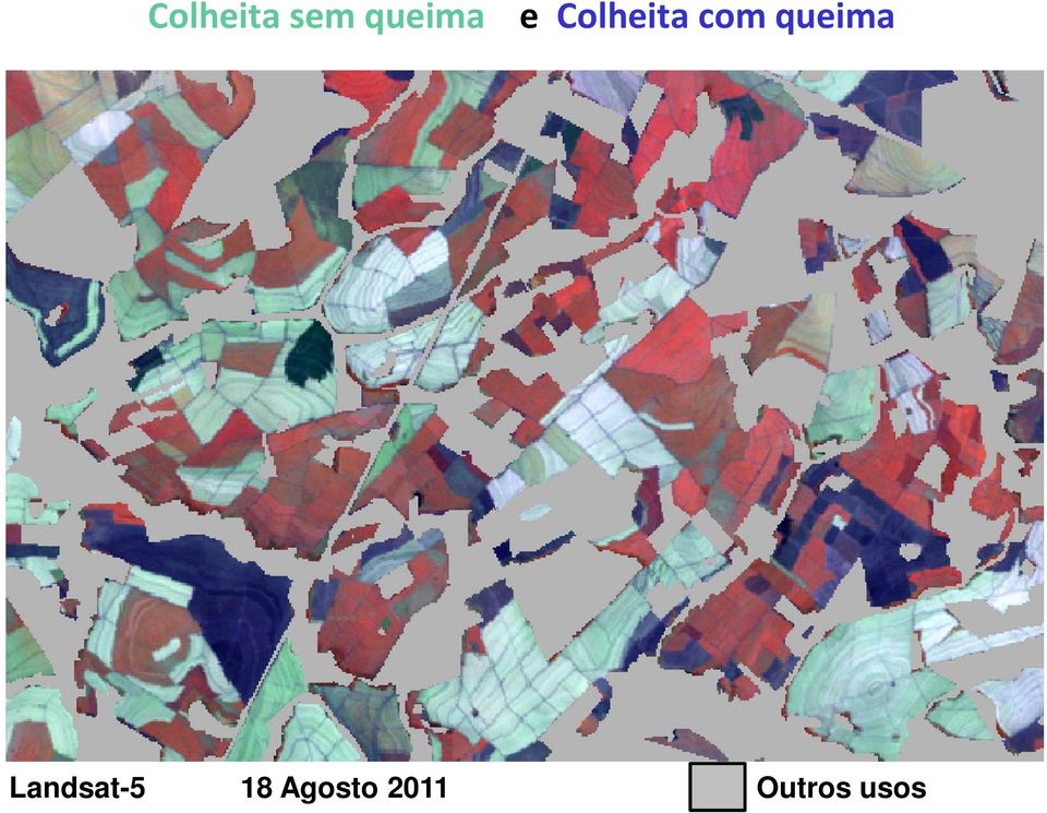 queima Landsat-5 18