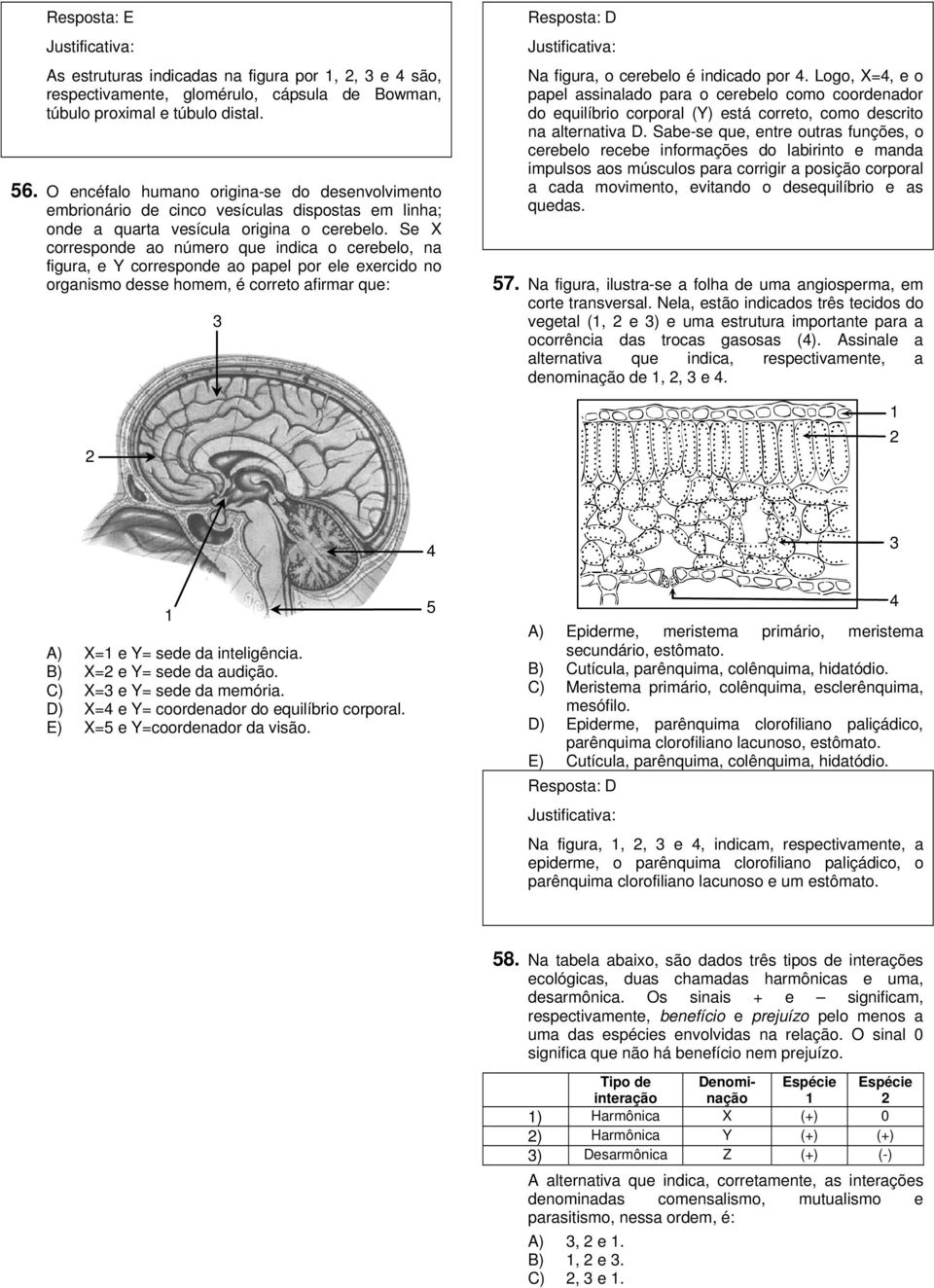 Se X corresponde ao número que indica o cerebelo, na figura, e Y corresponde ao papel por ele exercido no organismo desse homem, é correto afirmar que: Resposta: D Na figura, o cerebelo é indicado