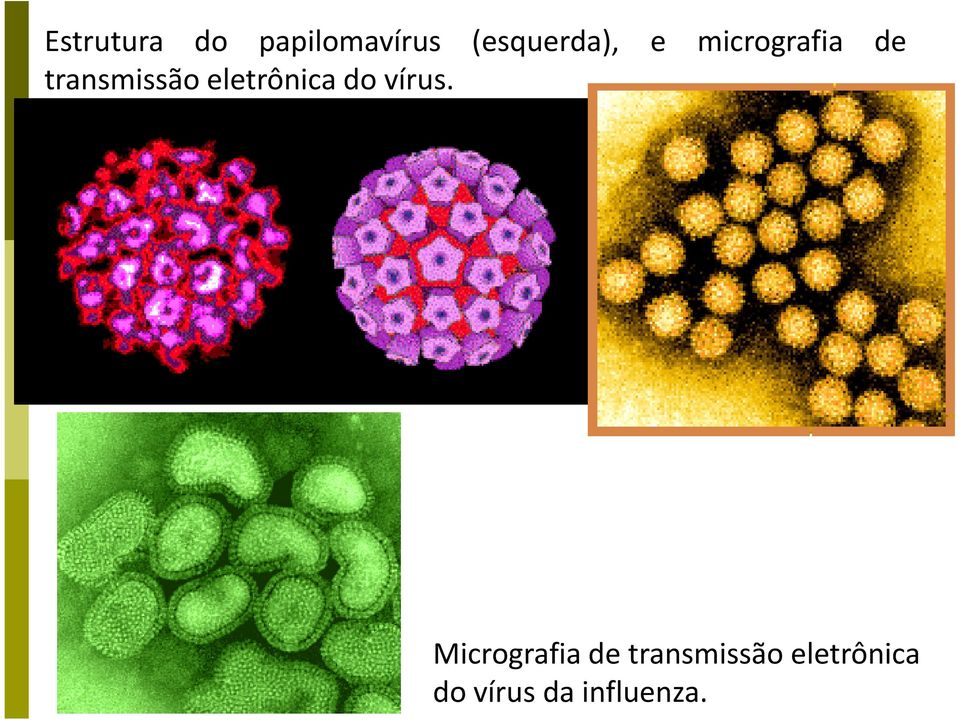 transmissão eletrônica do vírus.