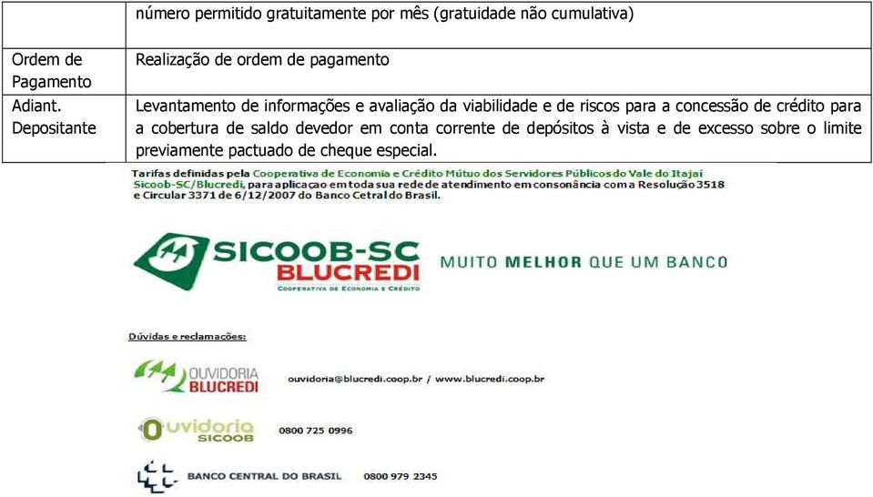 viabilidade e de riscos para a concessão de crédito para a cobertura de saldo devedor em