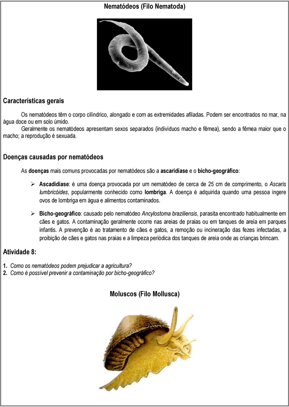 Doenças causadas por nematódeos Atividade 8: As doenças mais comuns provocadas por nematódeos são a ascaridíase e o bicho-geográfico: Ascadidíase: é uma doença provocada por um nematódeo de cerca de