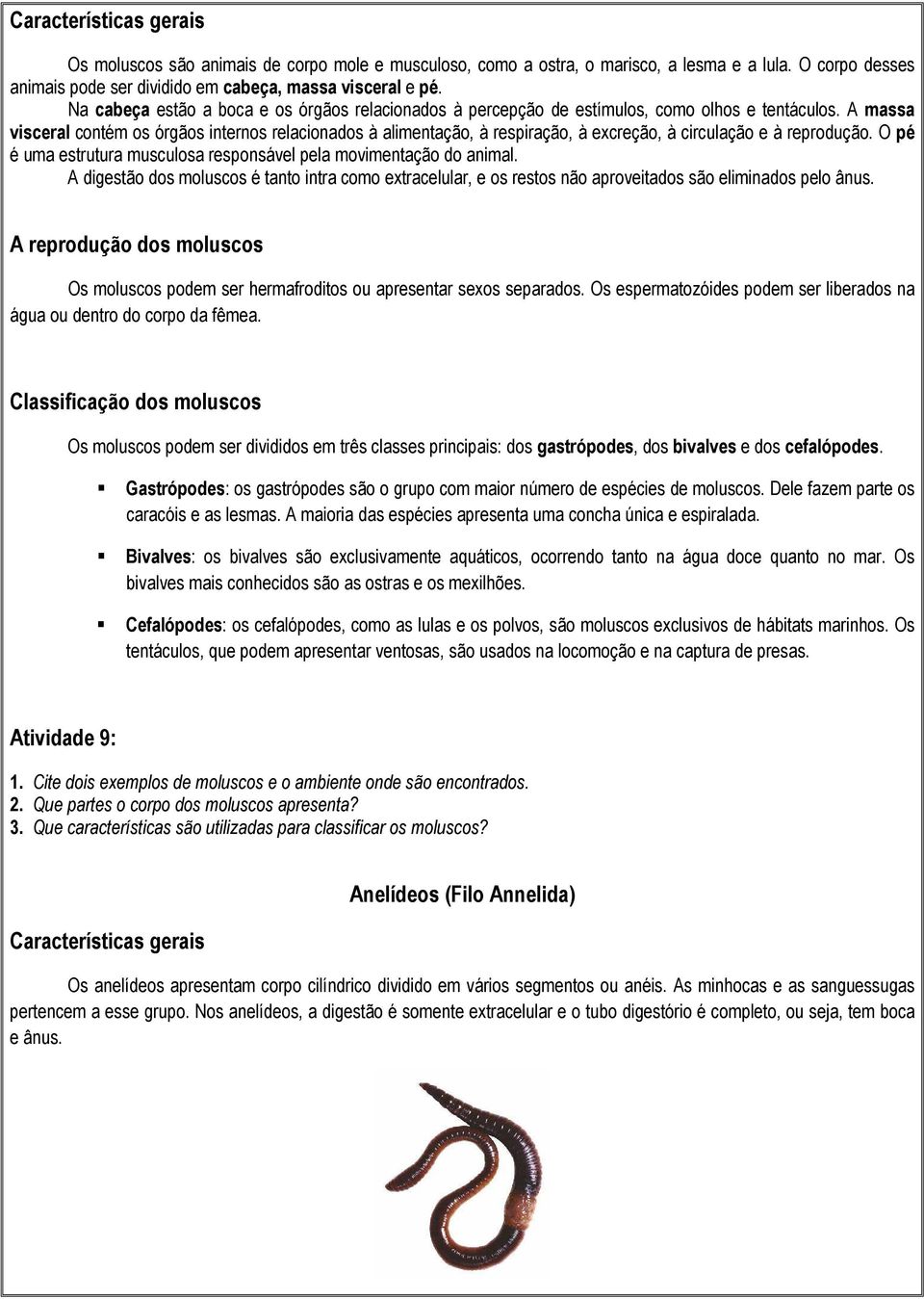 A massa visceral contém os órgãos internos relacionados à alimentação, à respiração, à excreção, à circulação e à reprodução. O pé é uma estrutura musculosa responsável pela movimentação do animal.