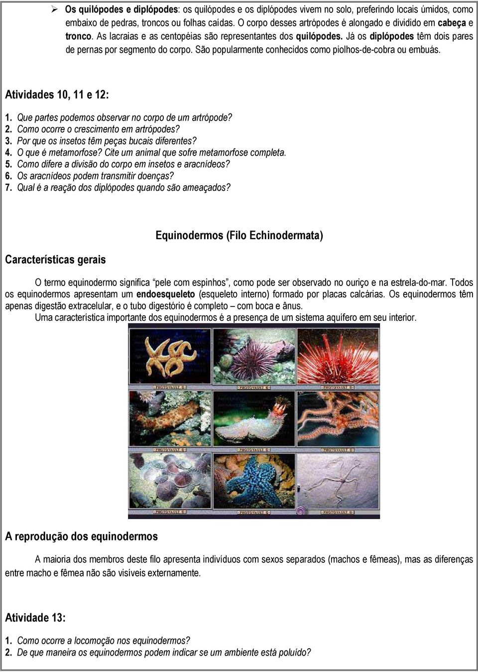 São popularmente conhecidos como piolhos-de-cobra ou embuás. Atividades 10, 11 e 12: 1. Que partes podemos observar no corpo de um artrópode? 2. Como ocorre o crescimento em artrópodes? 3.