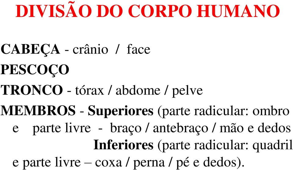 ombro e parte livre - braço / antebraço / mão e dedos Inferiores