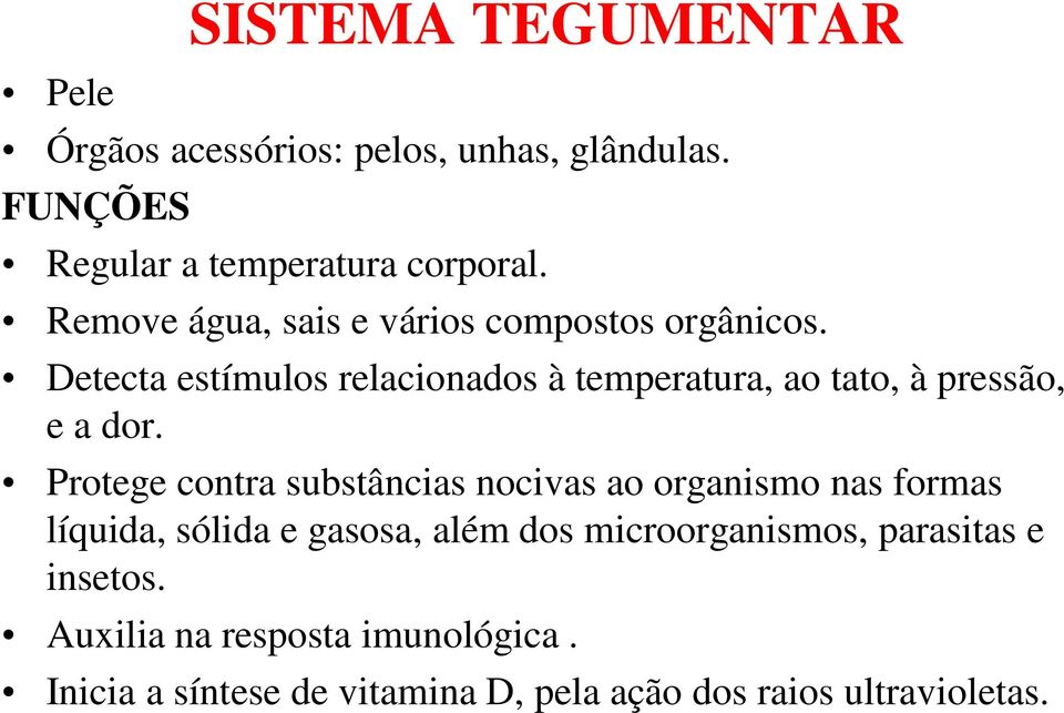 Detecta estímulos relacionados à temperatura, ao tato, à pressão, e a dor.