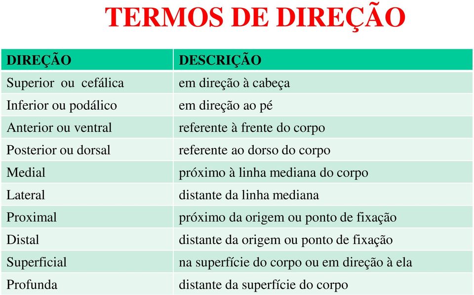 corpo referente ao dorso do corpo próximo à linha mediana do corpo distante da linha mediana próximo da origem ou