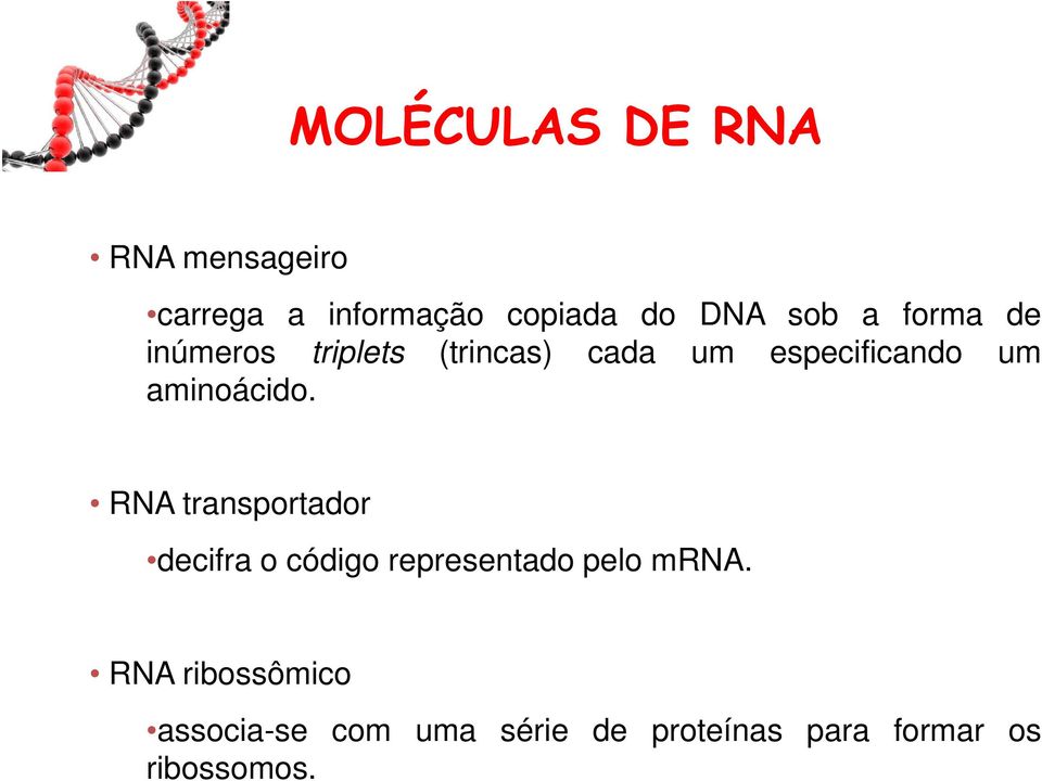 aminoácido. RNA transportador decifra o código representado pelo mrna.