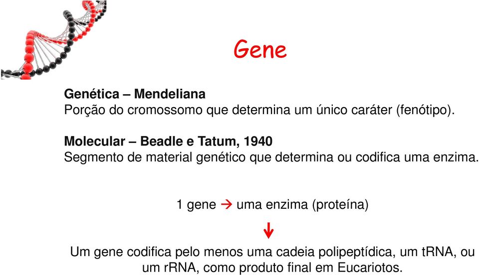 Molecular Beadle e Tatum, 1940 Segmento de material genético que determina ou