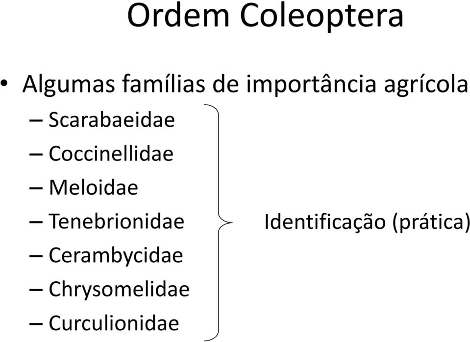 Coccinellidae Meloidae Tenebrionidae