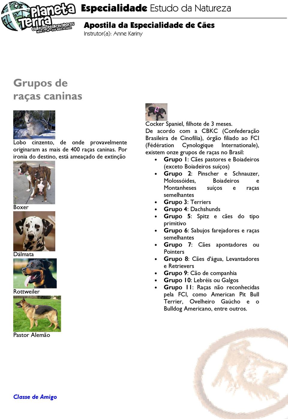 De acordo com a CBKC (Confederação Brasileira de Cinofilia), órgão filiado ao FCI (Fédération Cynologique Internationale), existem onze grupos de raças no Brasil: Grupo 1: Cães pastores e Boiadeiros