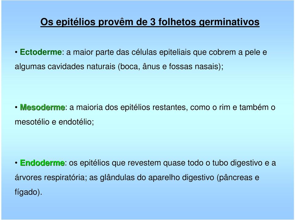 epitélios restantes, como o rim e também o mesotélio e endotélio; Endoderme: os epitélios que revestem