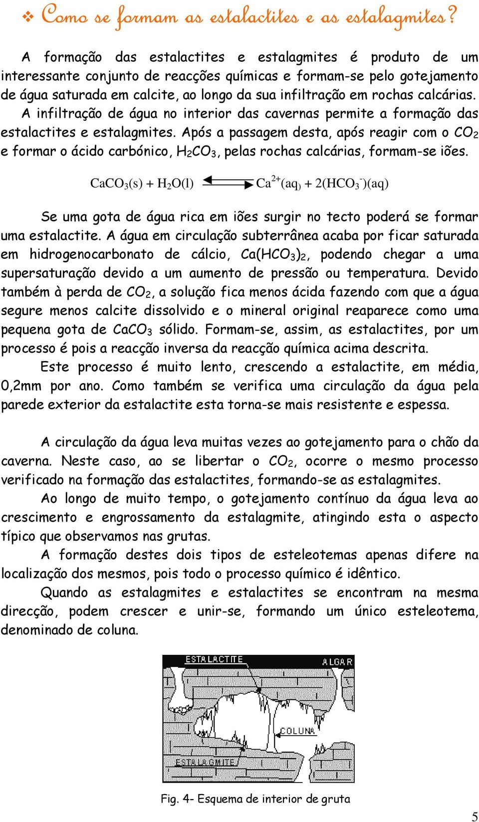 calcárias. A infiltração de água no interior das cavernas permite a formação das estalactites e estalagmites.