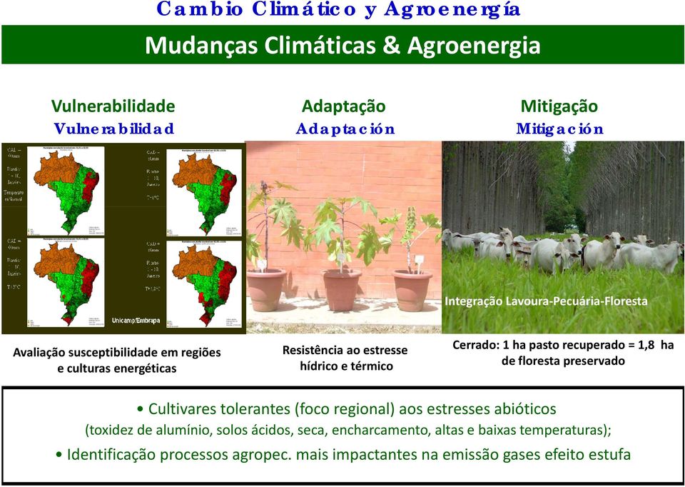 Cerrado: 1 ha pasto recuperado = 1,8 ha de floresta preservado Cultivares tolerantes (foco regional) aos estresses abióticos (toxidez de