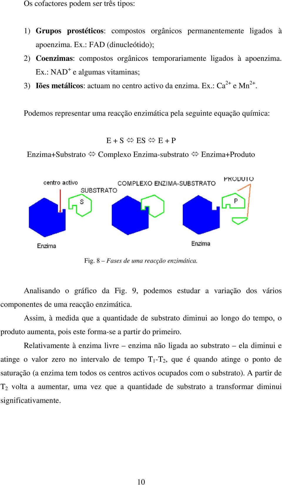 Podemos representar uma reacção enzimática pela seguinte equação química: E + S ES E + P Enzima+Substrato Complexo Enzima-substrato Enzima+Produto Fig. 8 Fases de uma reacção enzimática.